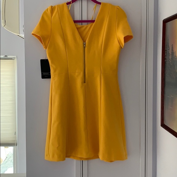 Yellow Zara dress - Picture 3 of 6